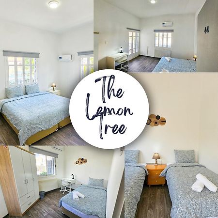 The Lemon Tree Hostel Ларнака Екстер'єр фото